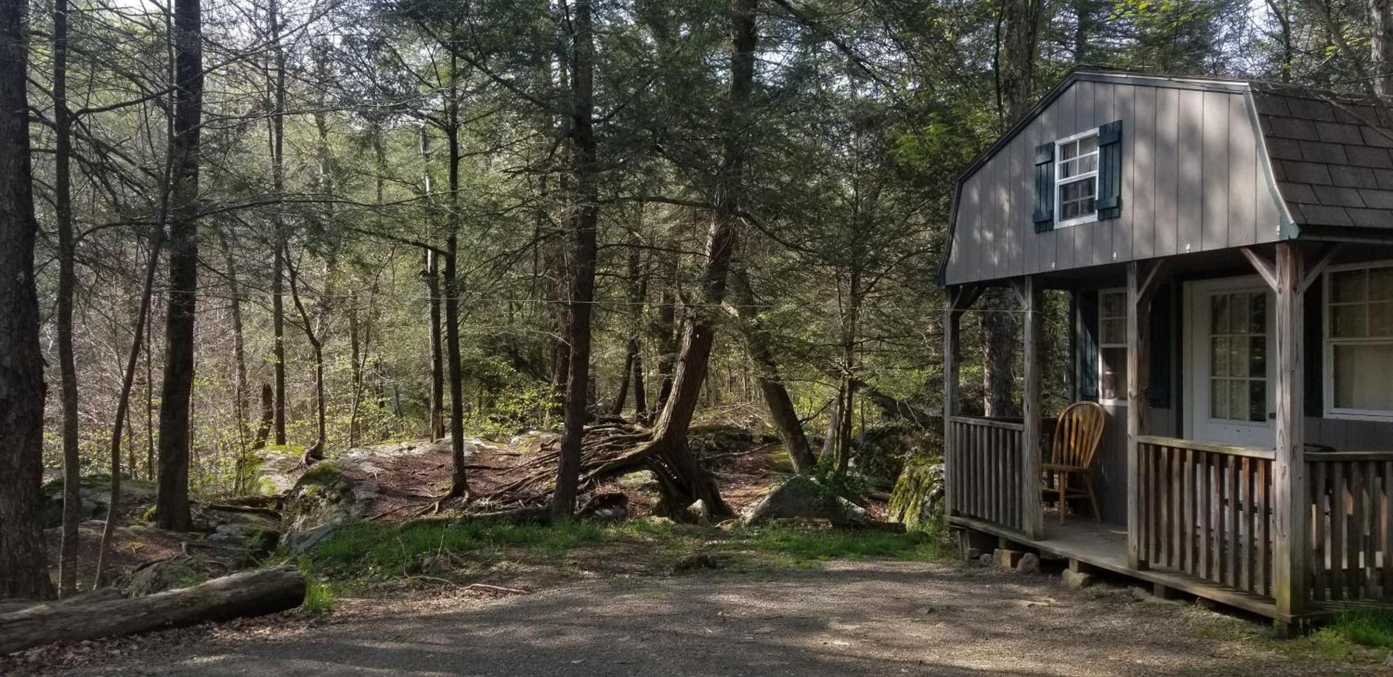 Abrams Creek Campground Mount Storm 外观 照片