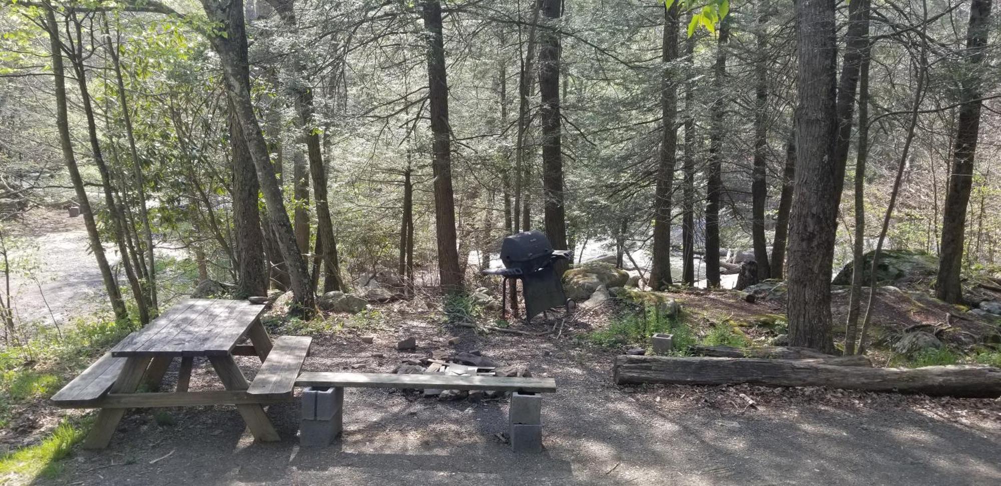 Abrams Creek Campground Mount Storm 外观 照片