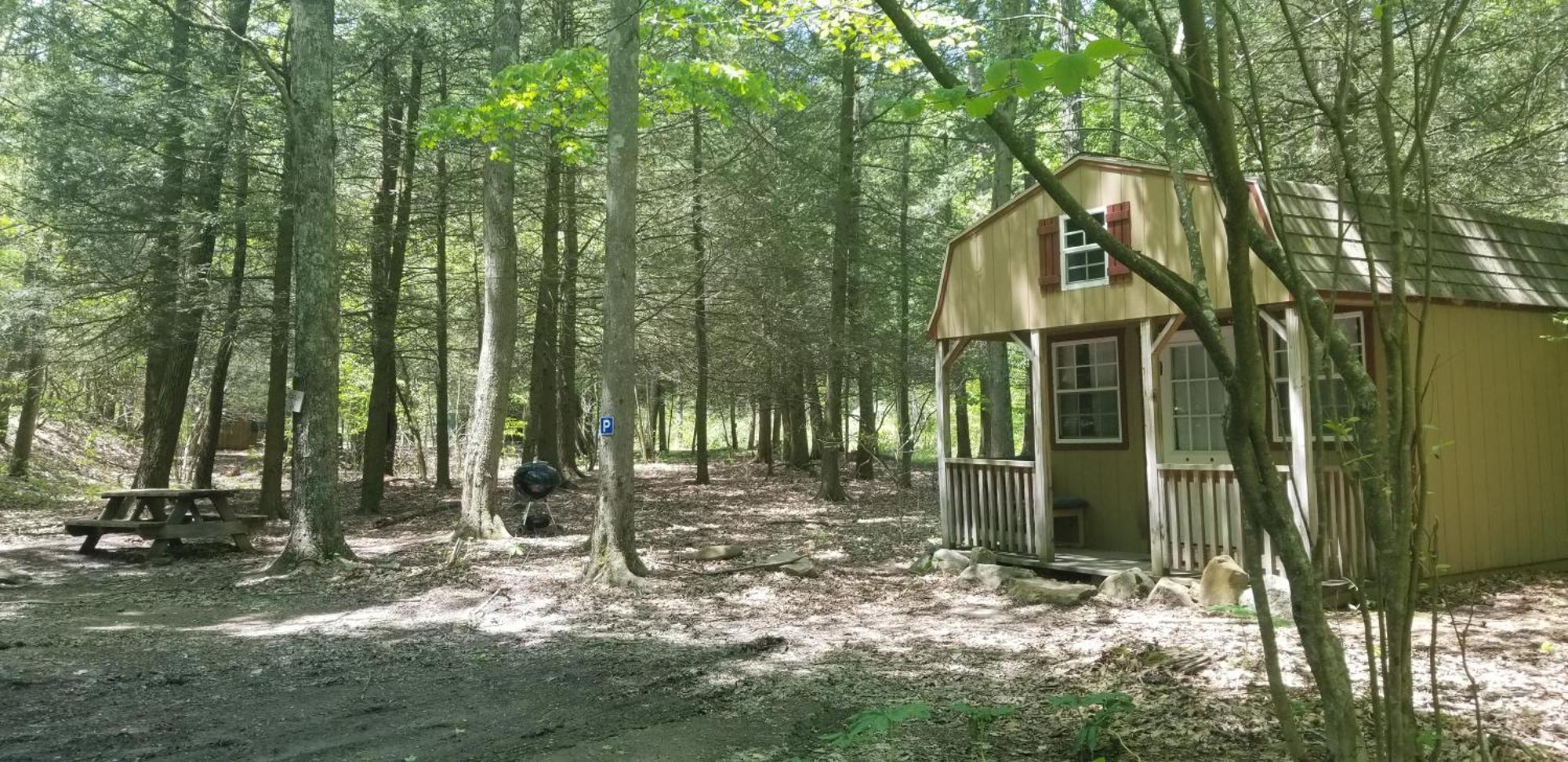 Abrams Creek Campground Mount Storm 外观 照片