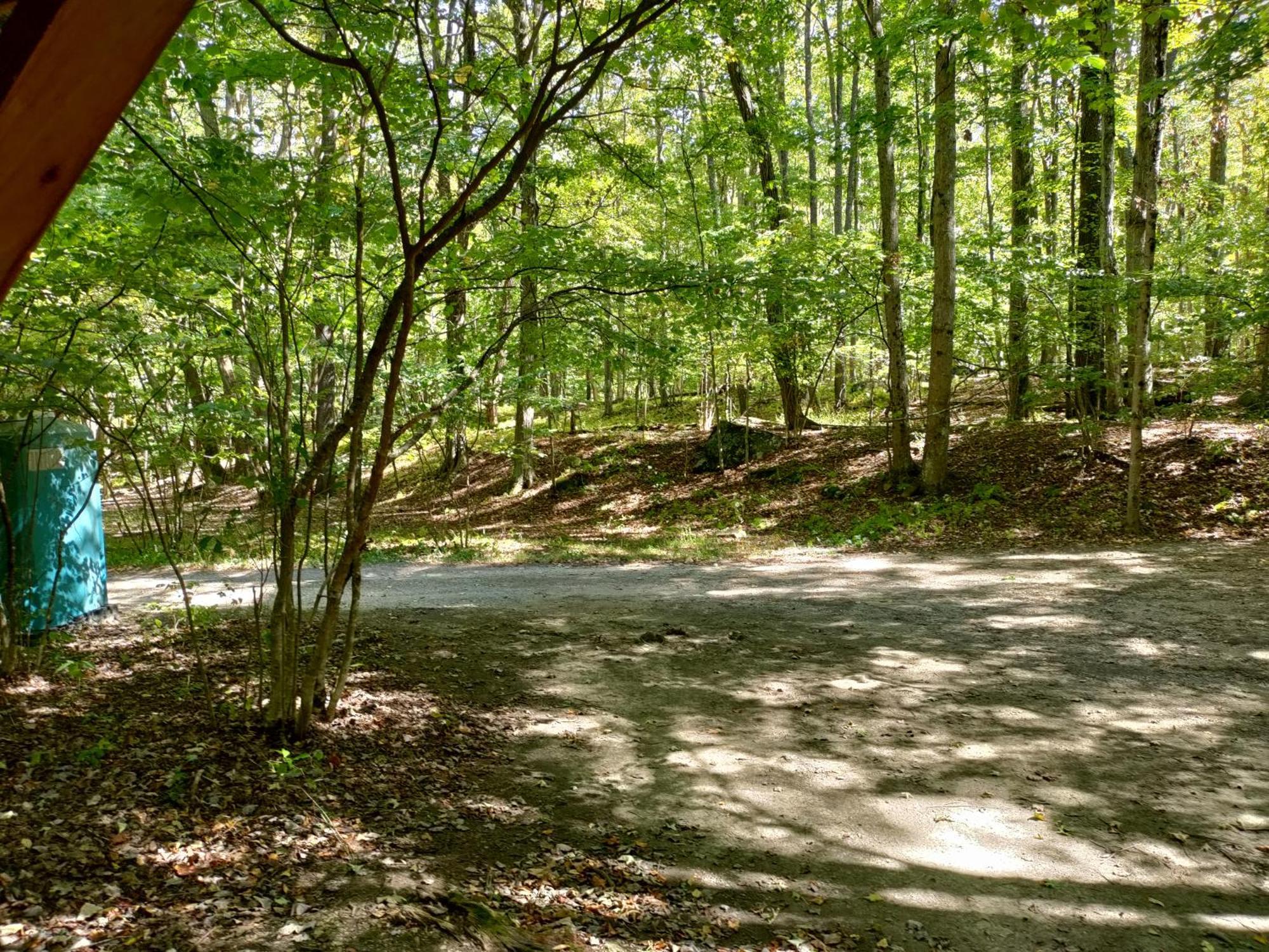 Abrams Creek Campground Mount Storm 外观 照片