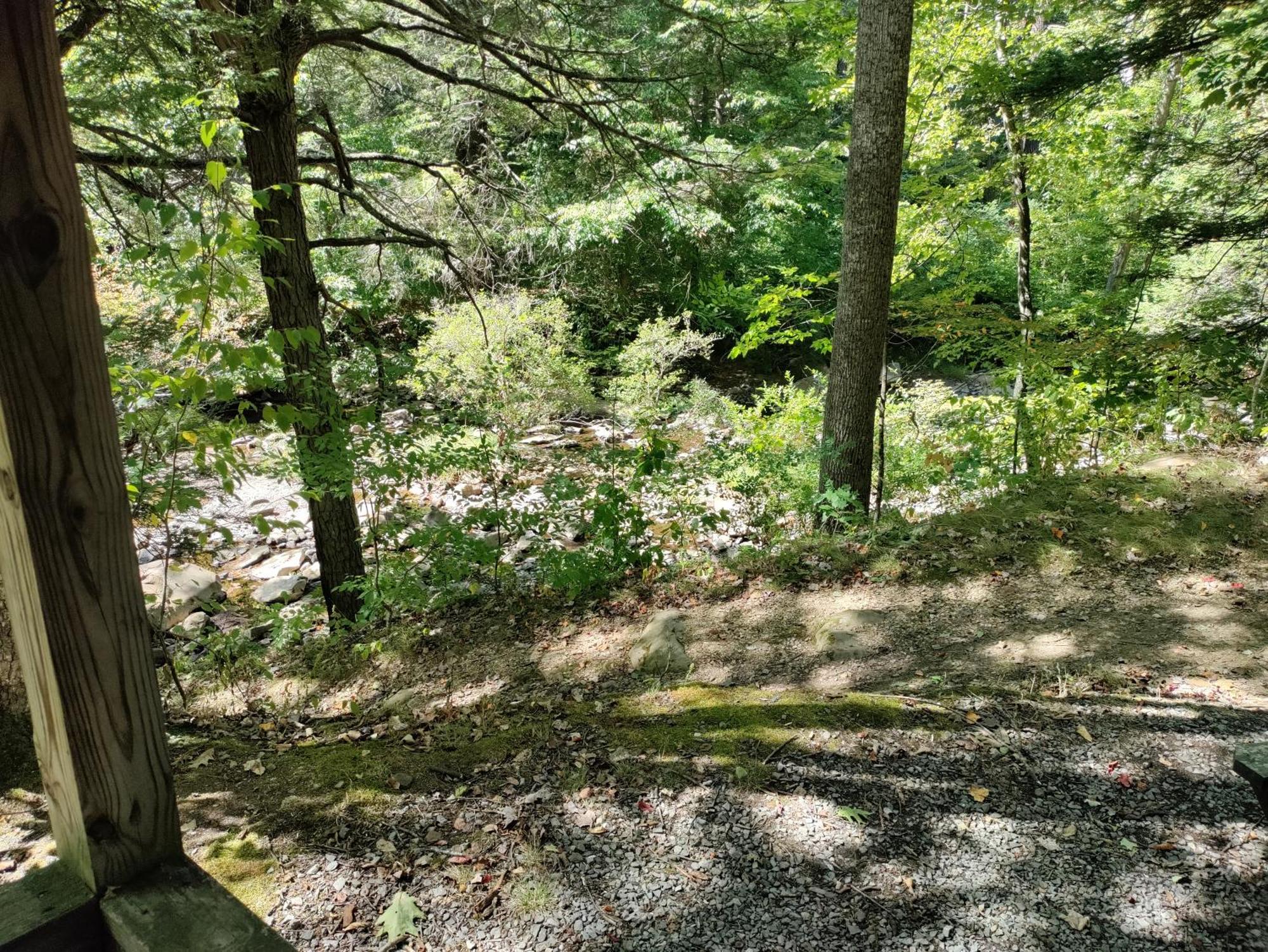 Abrams Creek Campground Mount Storm 外观 照片