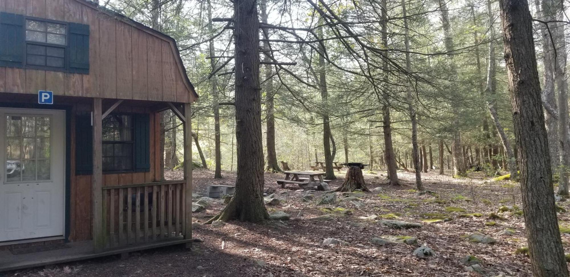 Abrams Creek Campground Mount Storm 外观 照片
