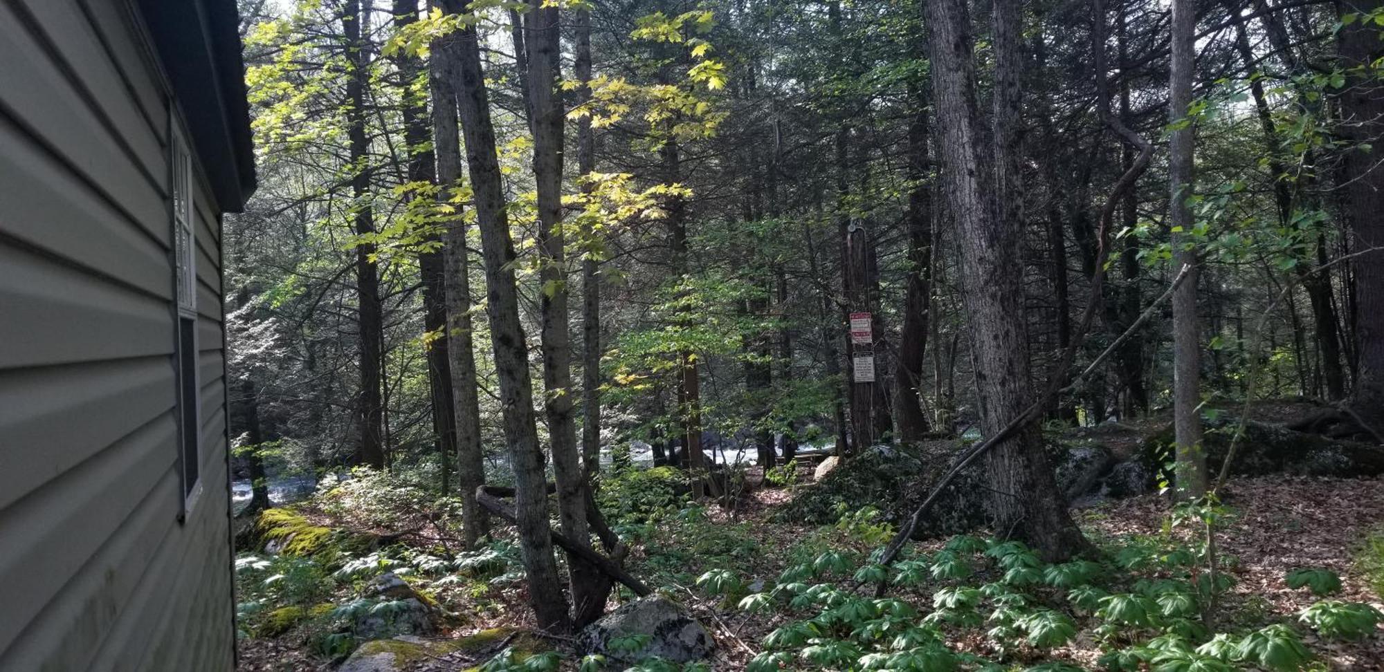 Abrams Creek Campground Mount Storm 外观 照片