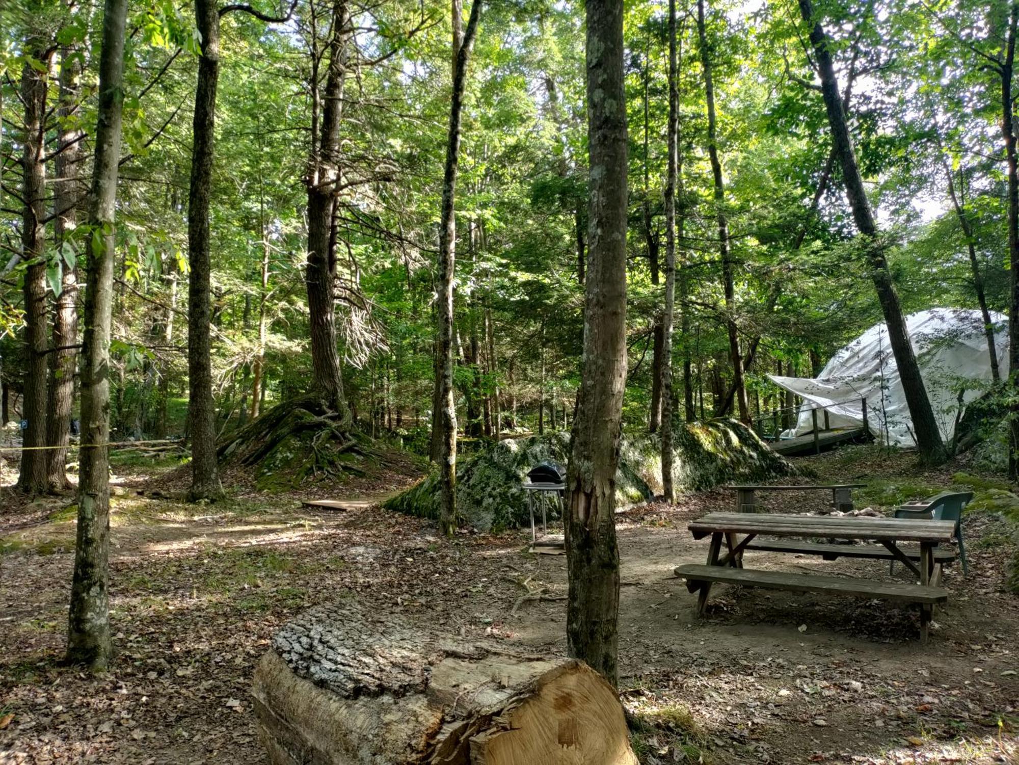 Abrams Creek Campground Mount Storm 外观 照片