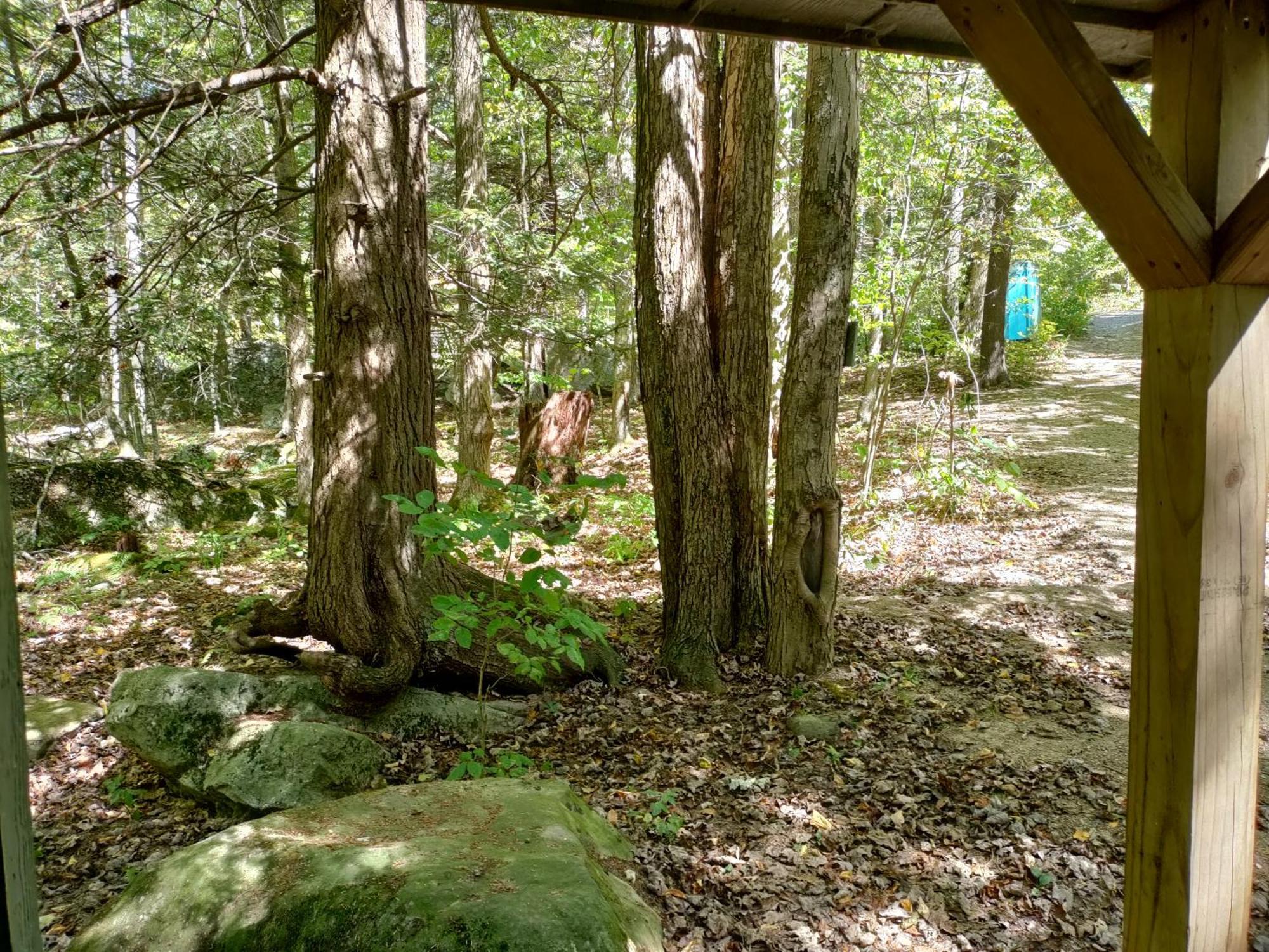 Abrams Creek Campground Mount Storm 外观 照片